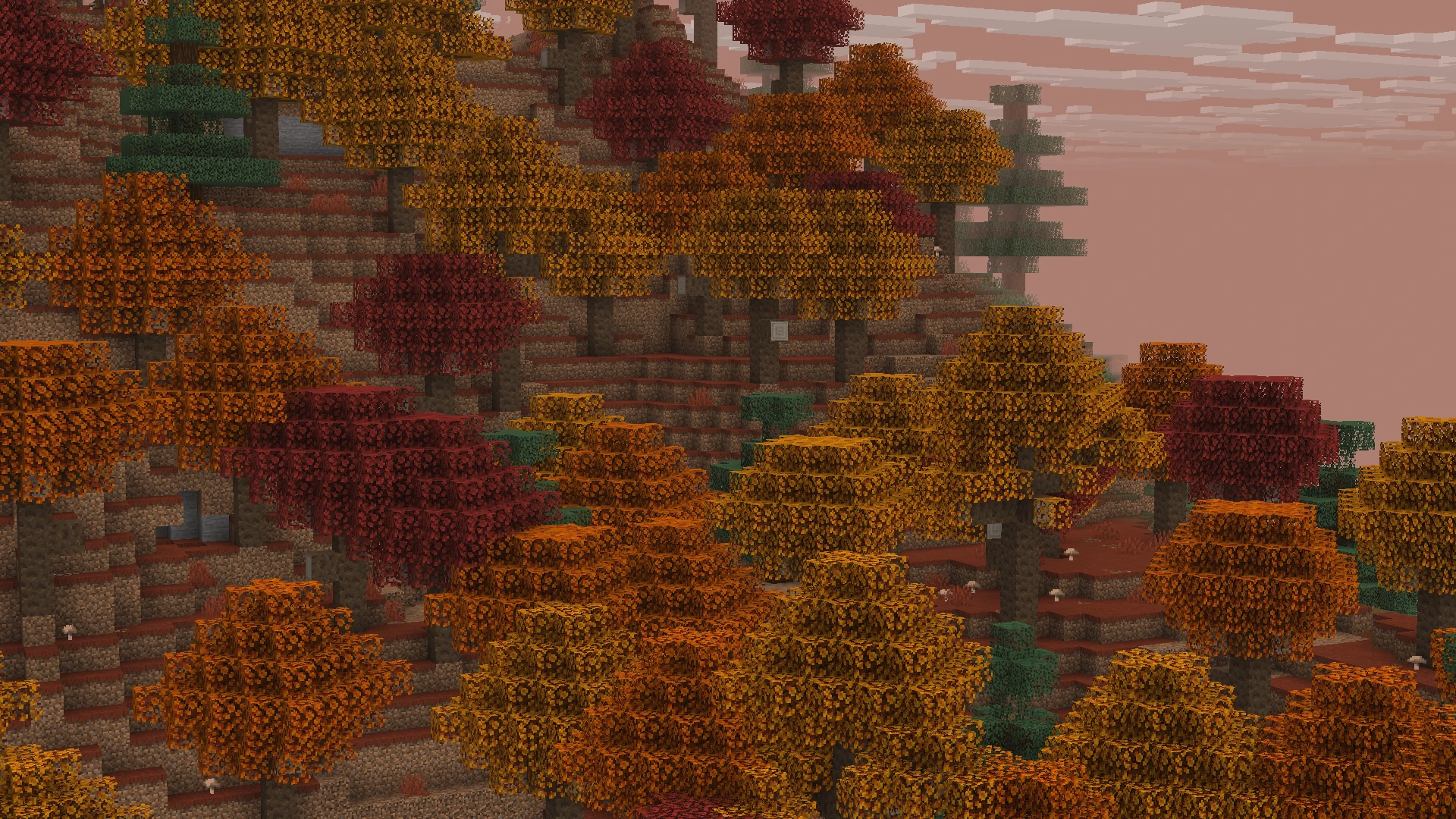 Dappled forest before 26.3