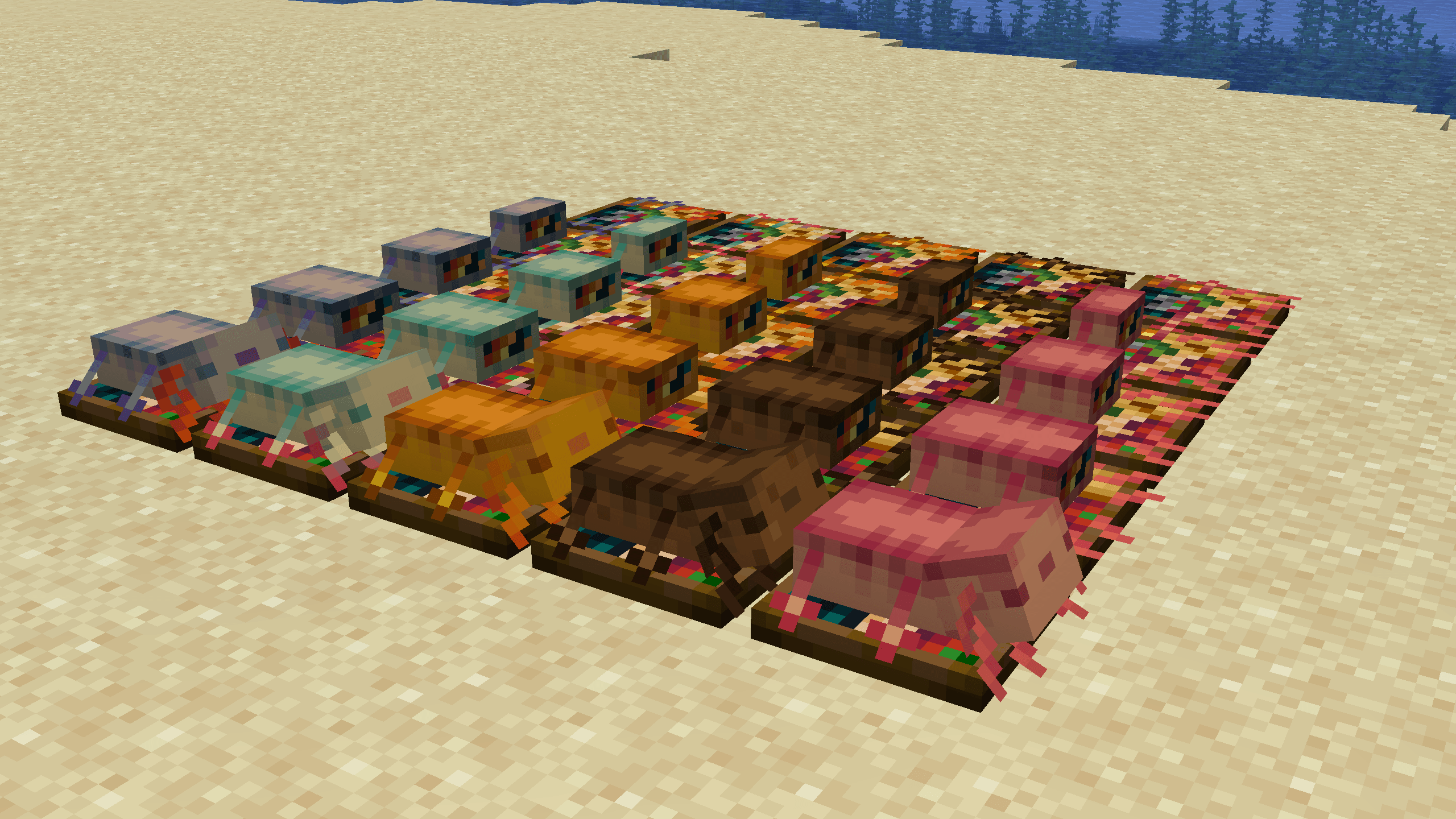 Axolotl Feast Stages