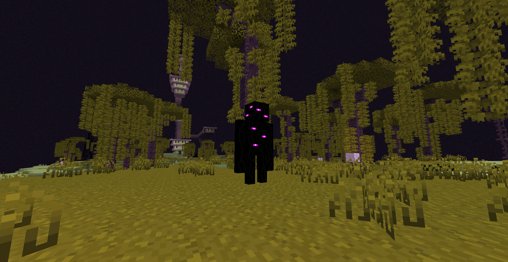 A new endermen variant in the new End Wilds biome. Watch out!