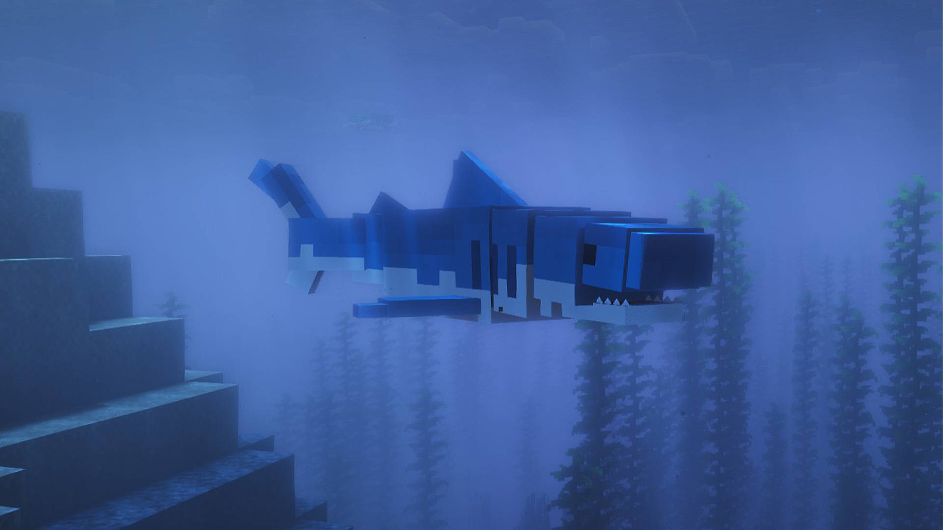 Blue-Shark (Prionace glauca)
