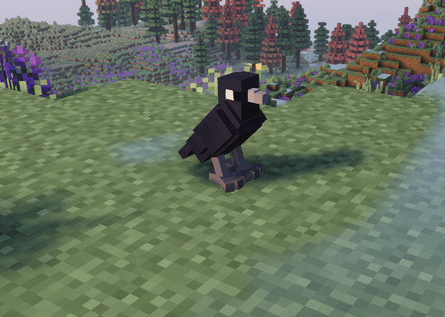 Raven