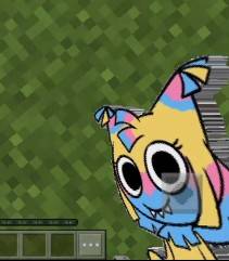 1000145507.jpg