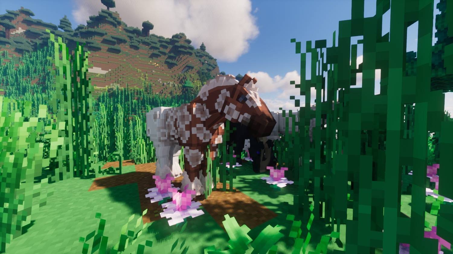 Thumbnail BaileyVerst-ARainbowFantasy-Image12.jpeg