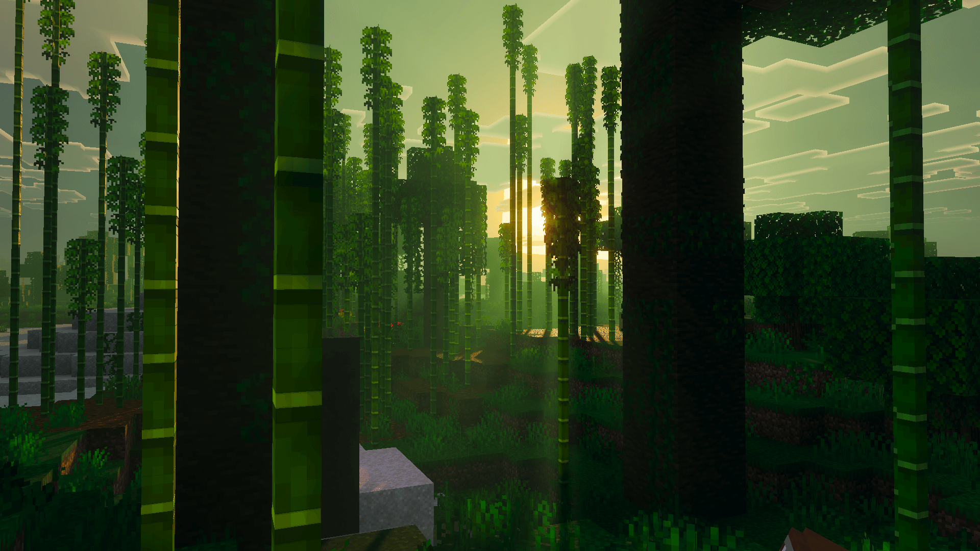 Jungle Fog