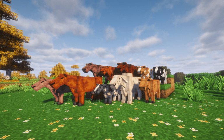 cow_breeds_credit_fluffythebeowolf.png
