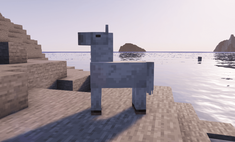 Kelpie on land