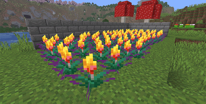 variants_of_crops_v1.3.1.gif