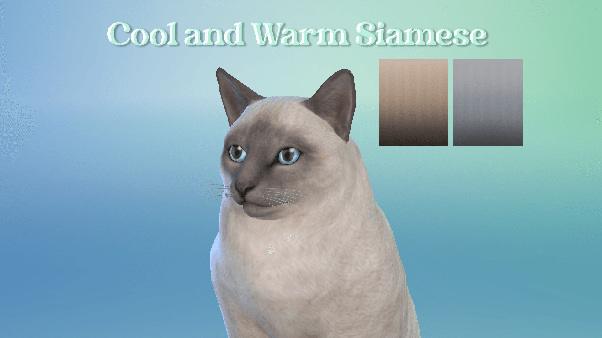 preview 3.png