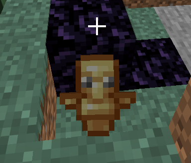 image11.png