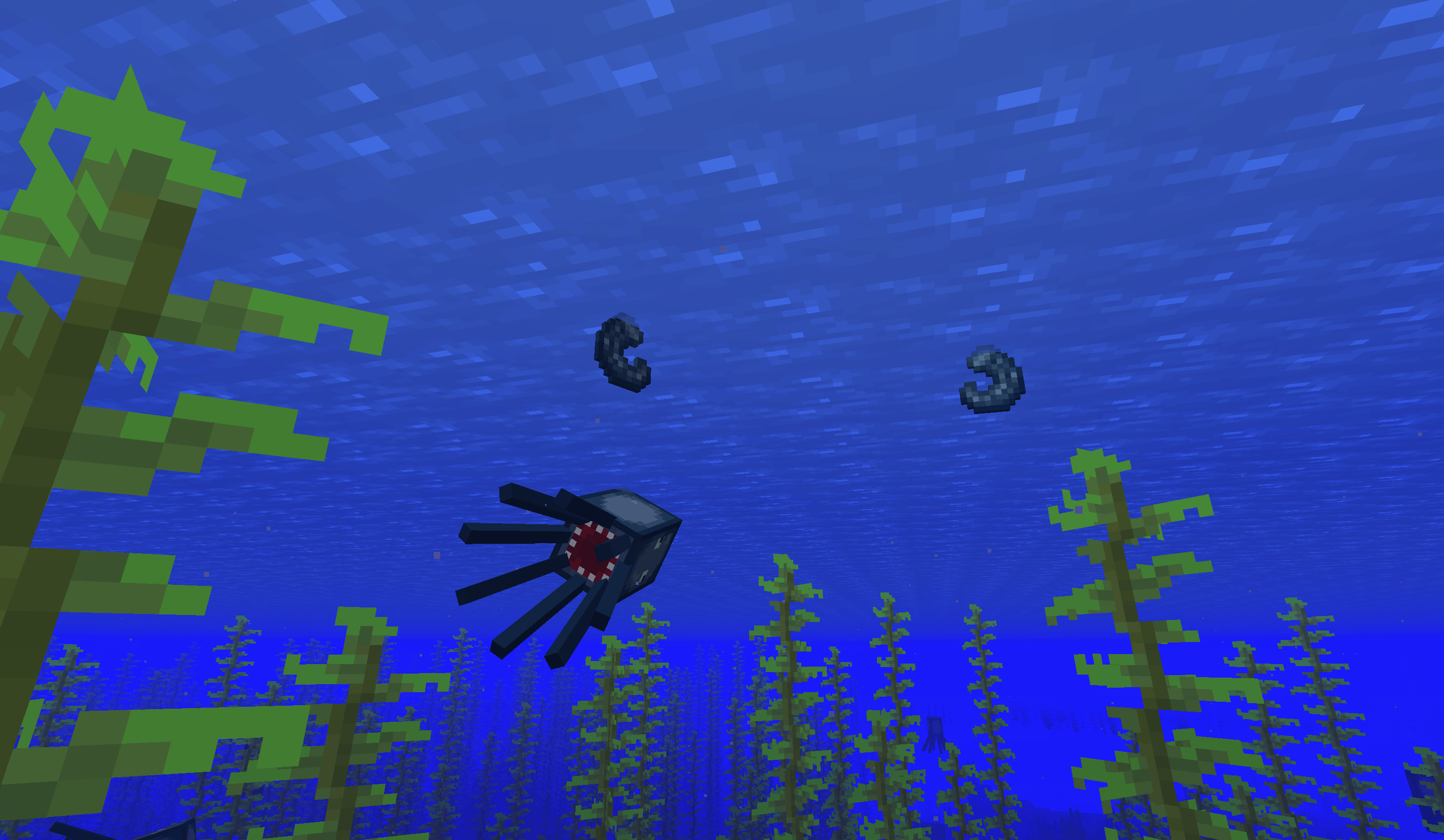Squids & Calamari