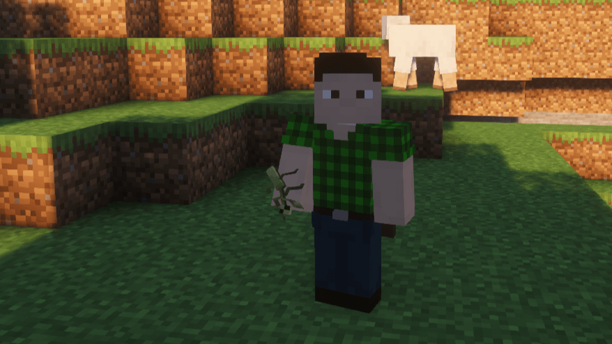 Player Holding A Praying Mantis.png