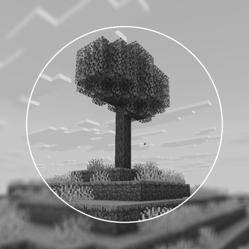 True Black & White Shader (Grayscale) screenshot active