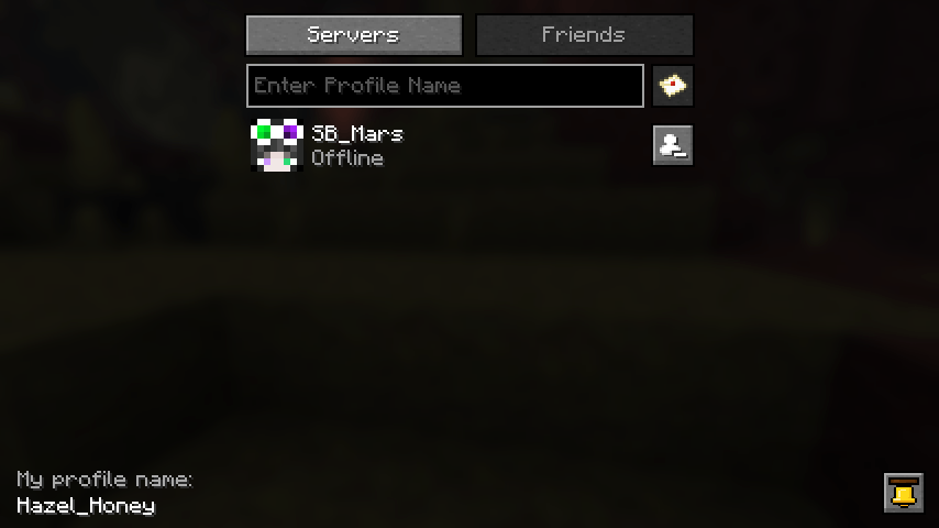 The screen when you have a friend or more added.