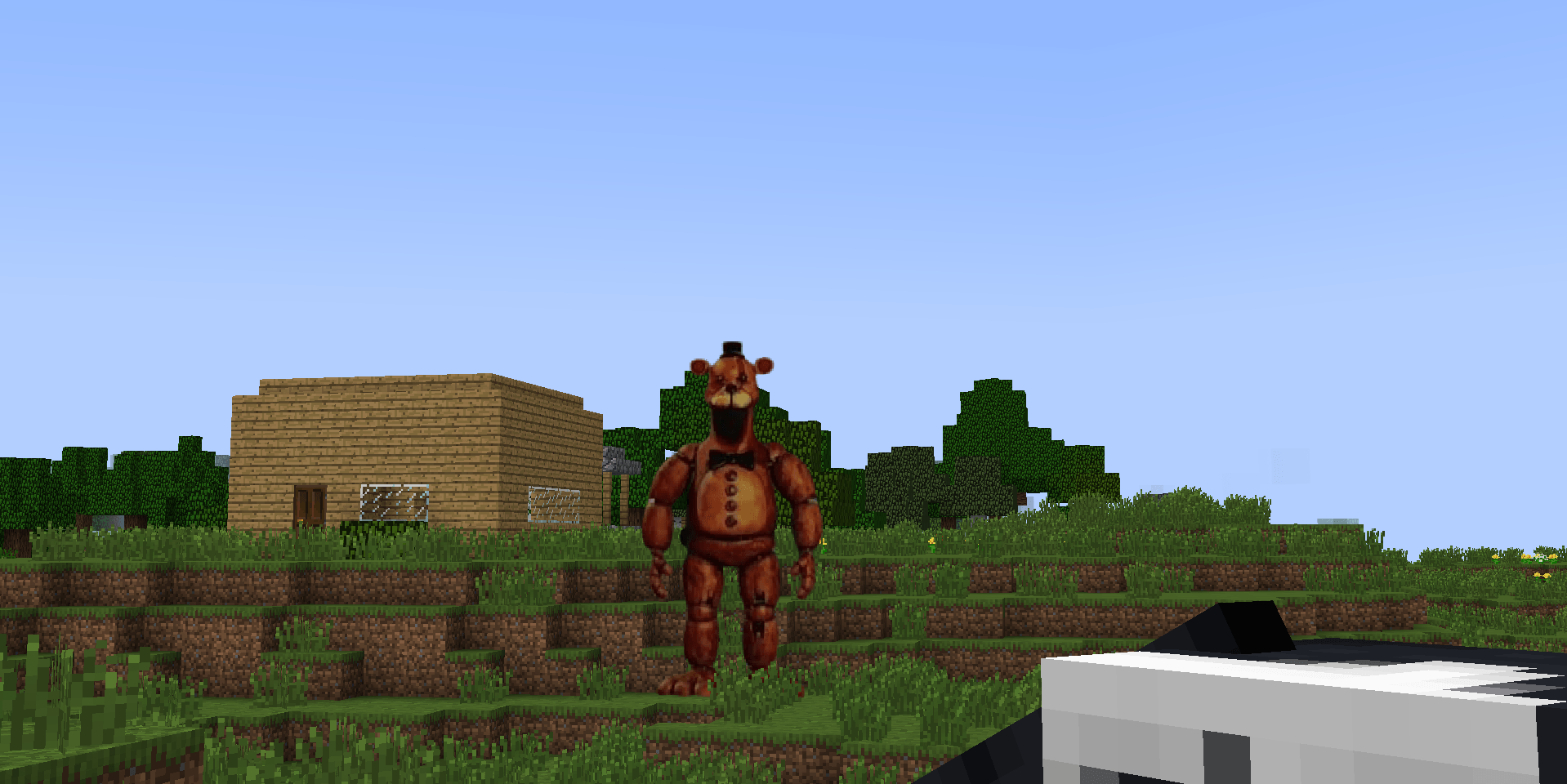 Say hello to Freddy.