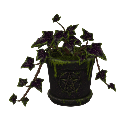 2.png