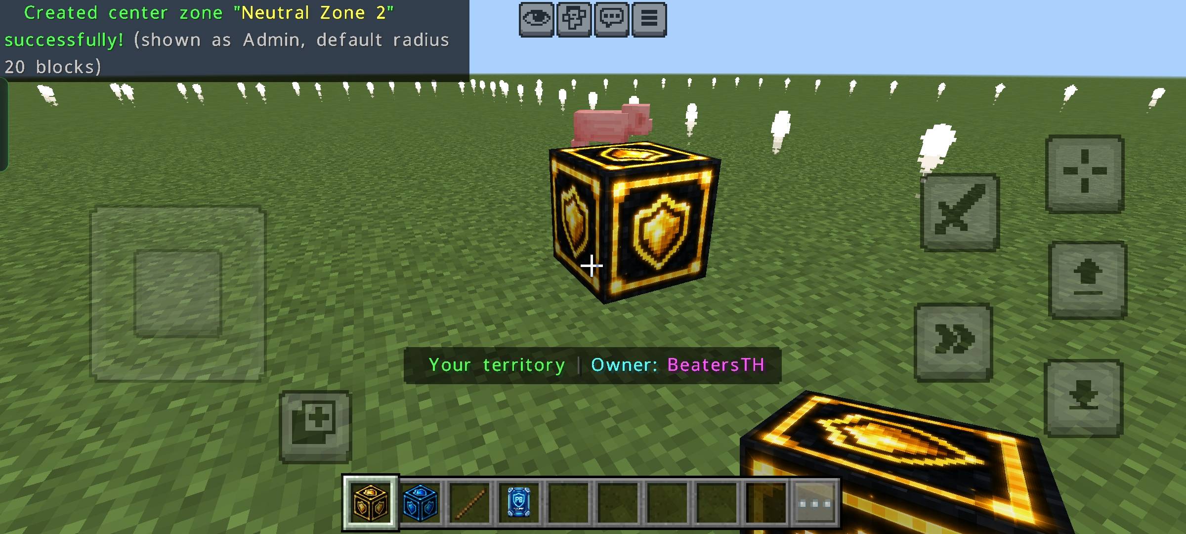Thumbnail 1000010390.jpg
