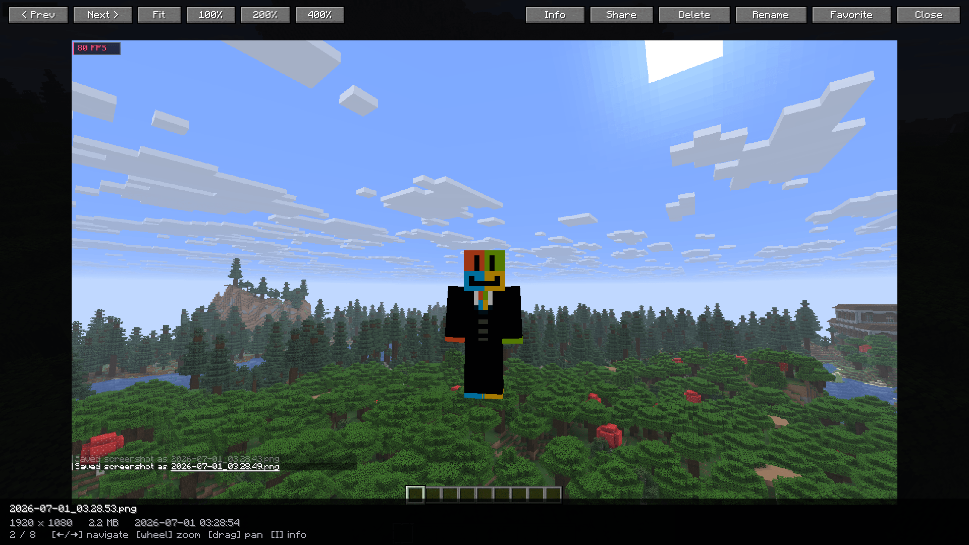 mouse-wheel zoom, drag-to-pan, next and previous navigation, and an information overlay.