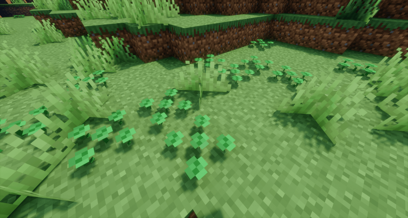 Thumbnail It's your lucky day!
