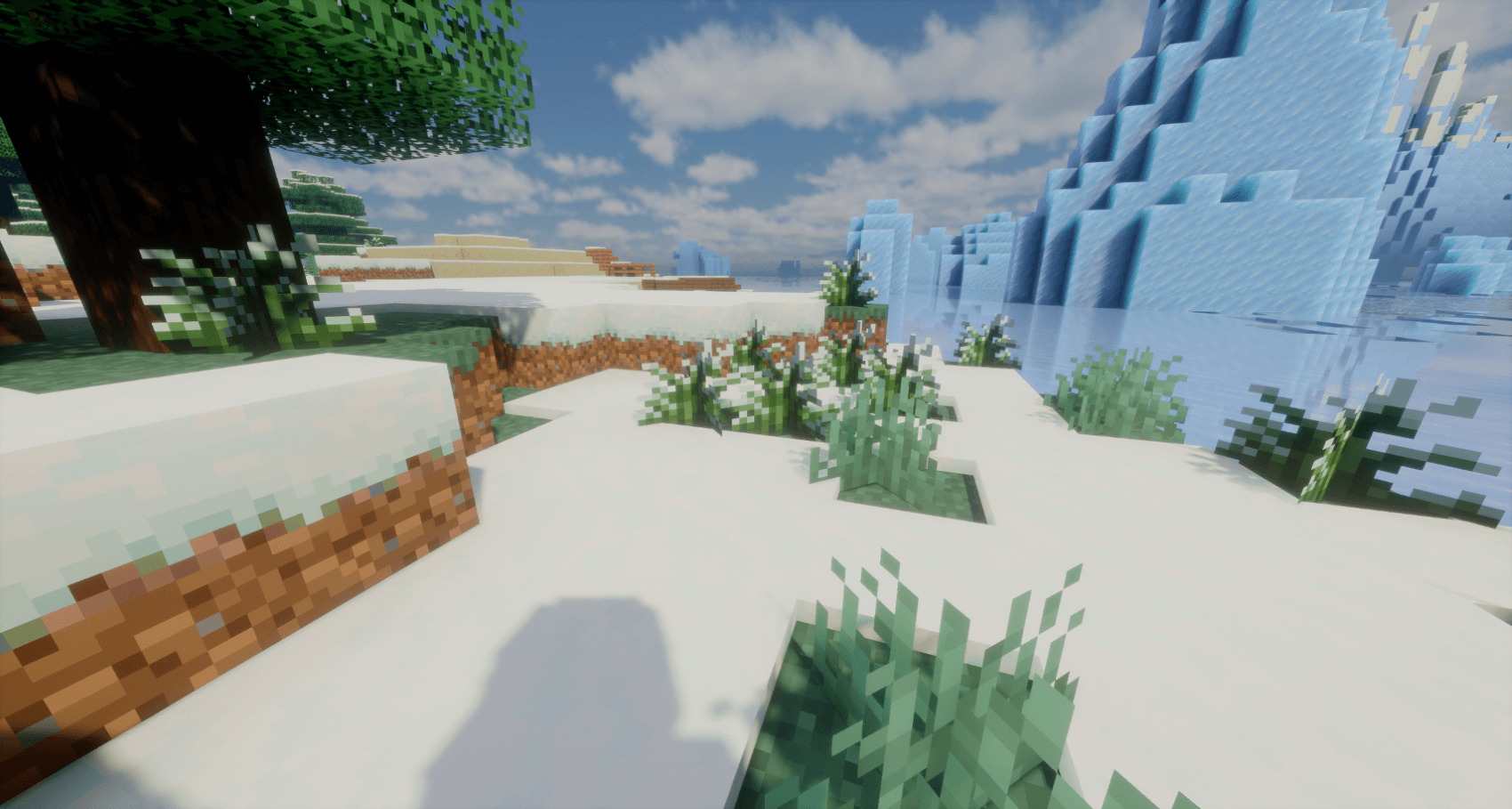 Thumbnail Santa's coming this christmas to gift you frost grass.