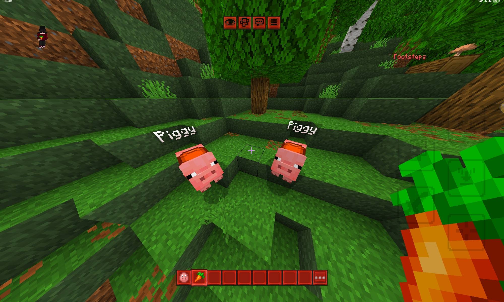 Piggies follow carrots... They LOVE them!