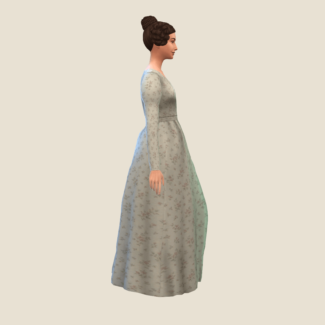 InGame Side 1.png