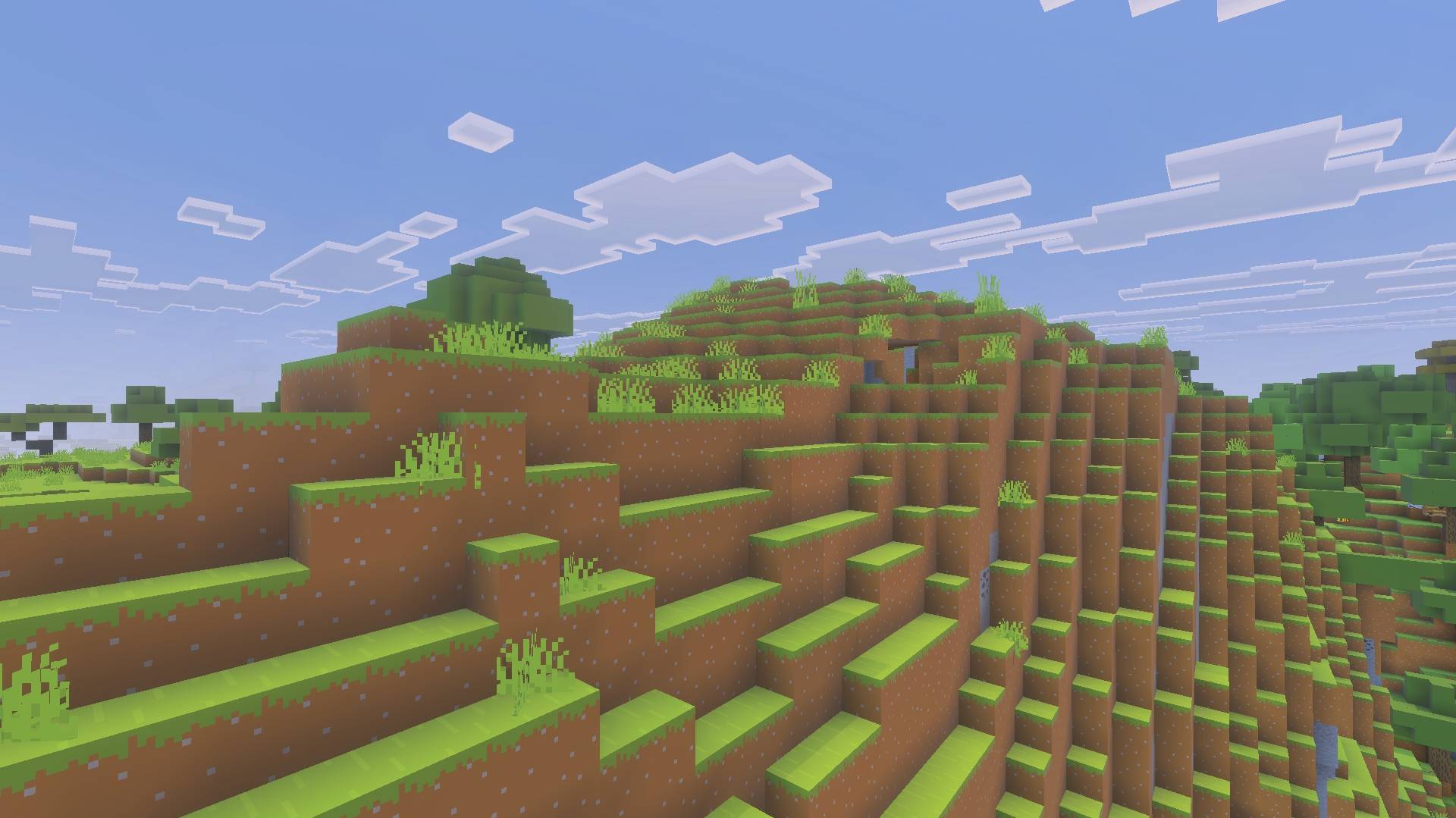 grass2.jpg