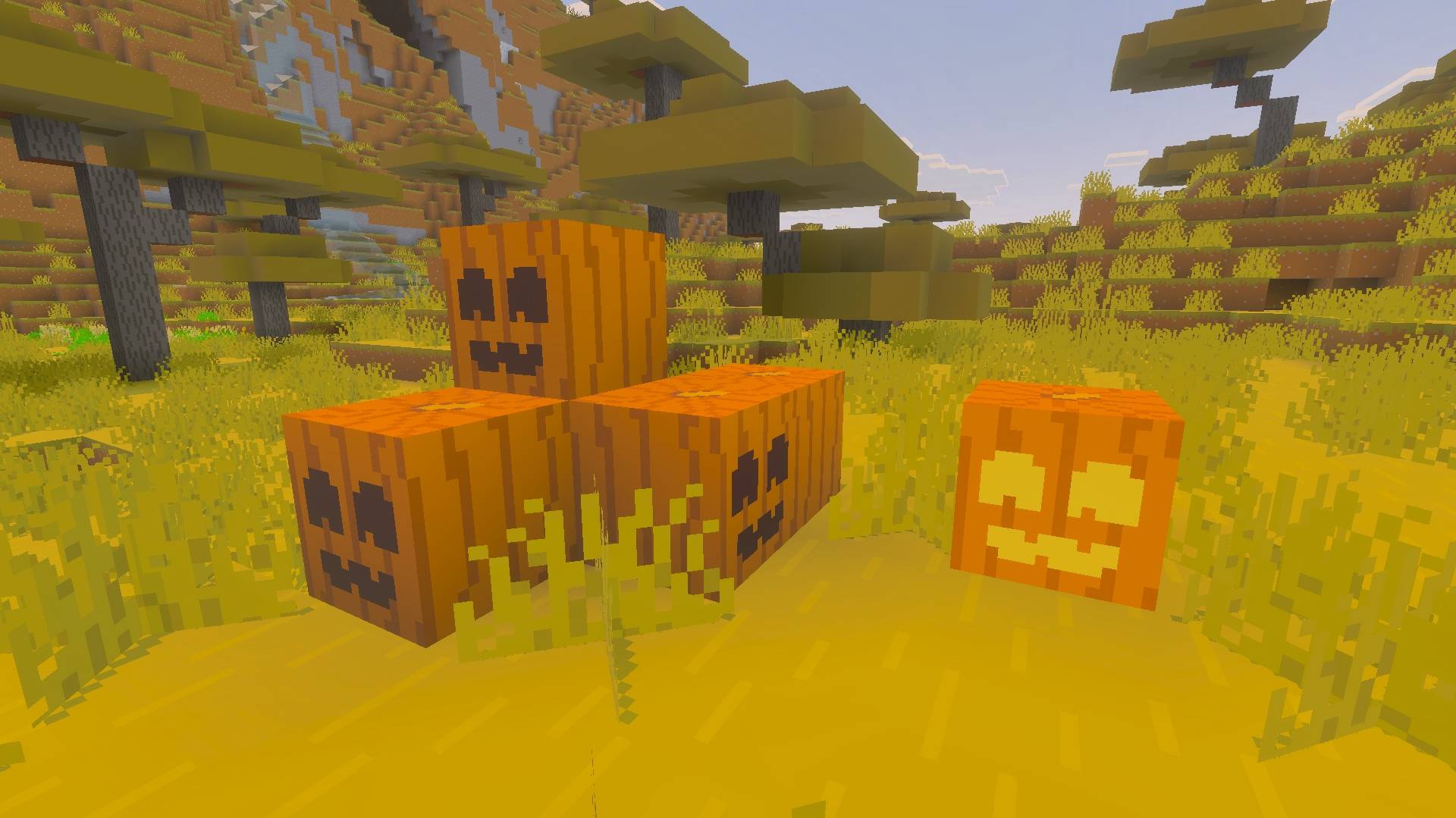 pumpkin1.jpg