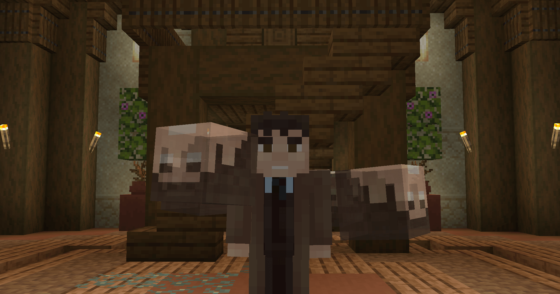 Troughton regeneration version