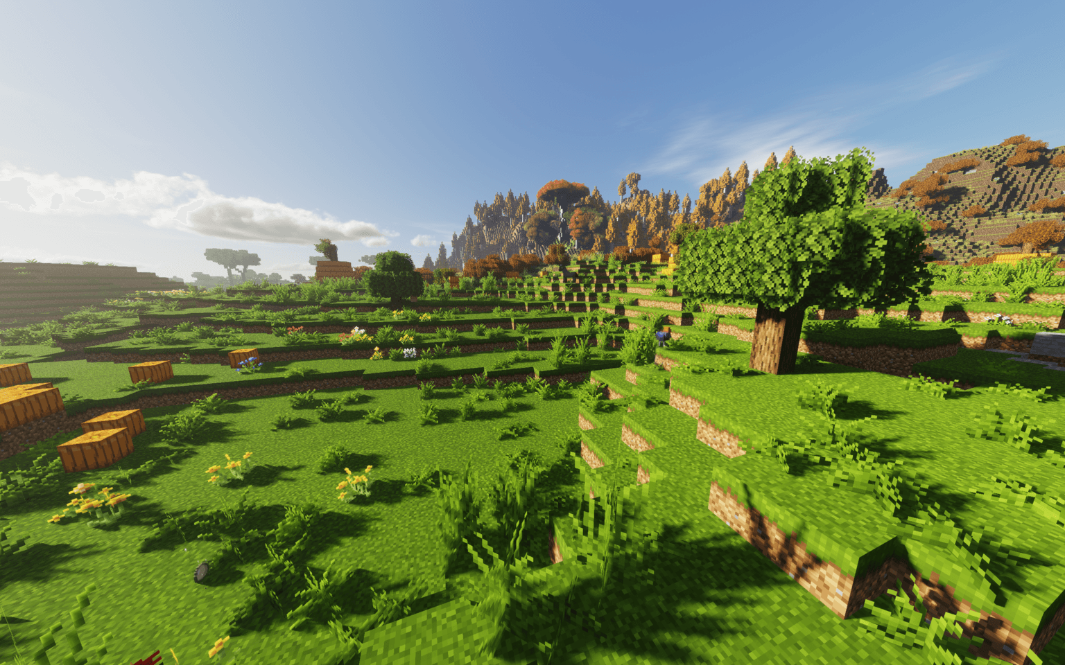 Thumbnail 2026-07-04_02.21.18.png