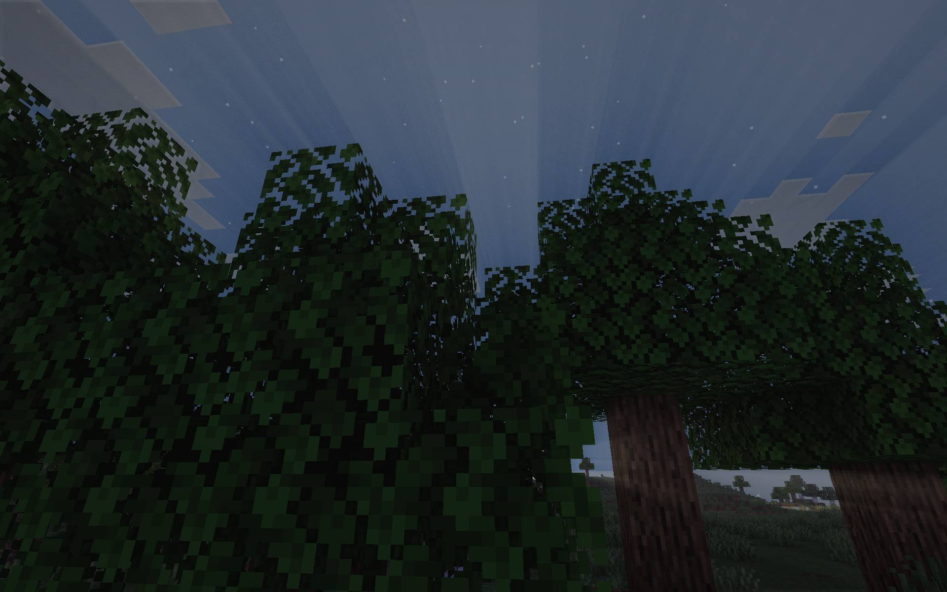 compressed_7.jpg