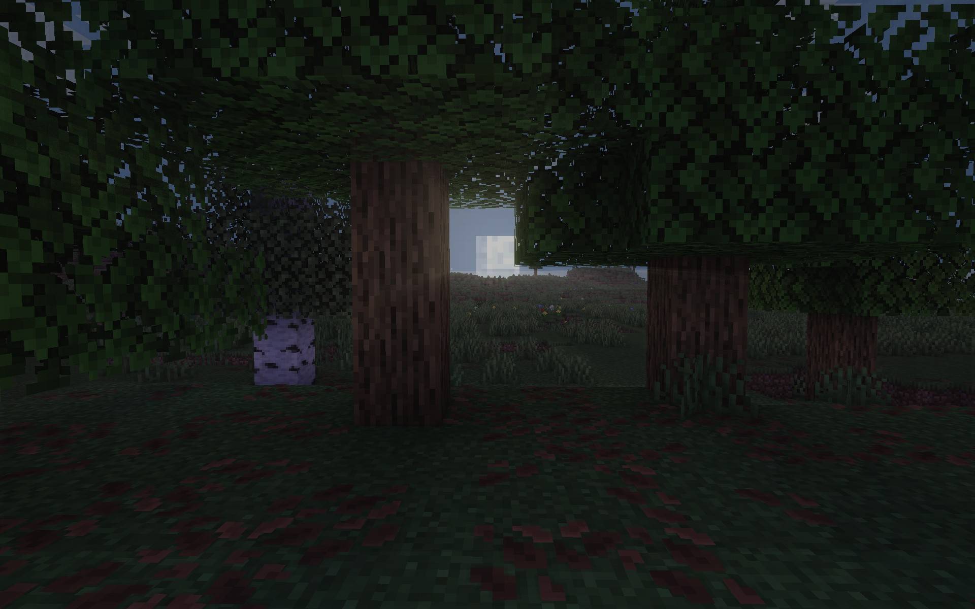 compressed_8.jpg