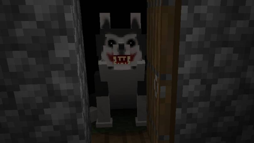 62336.jpg