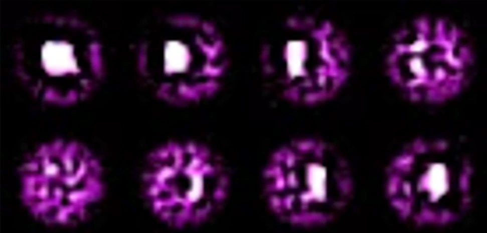 41.webp