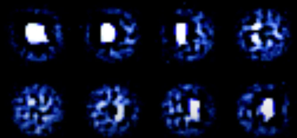 31.webp