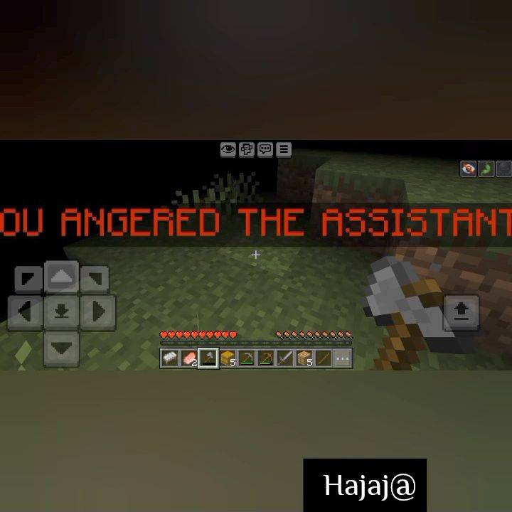 1000027009.jpg