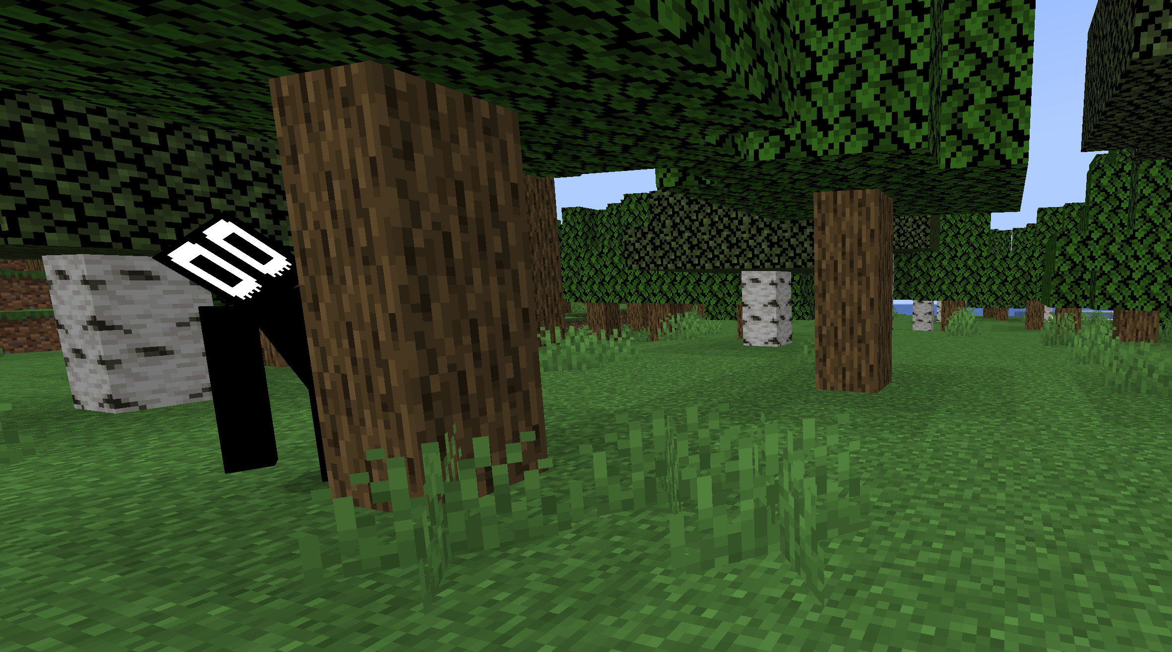 Peeks out