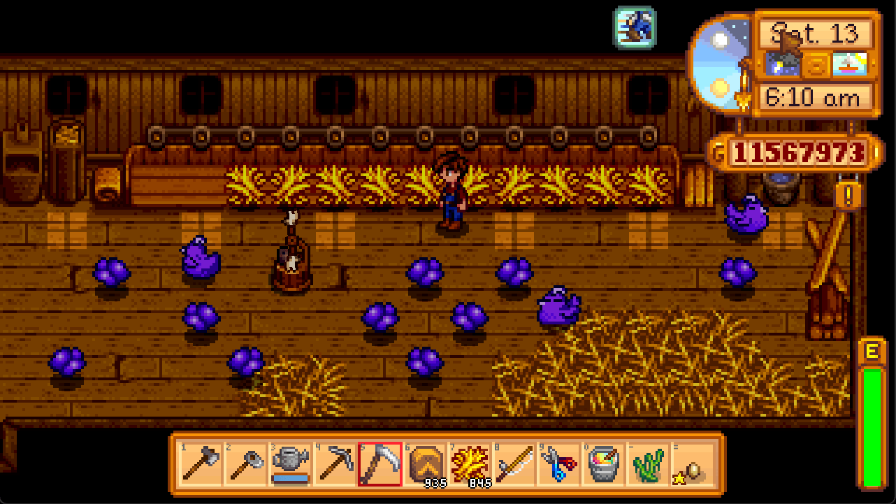 Chicken