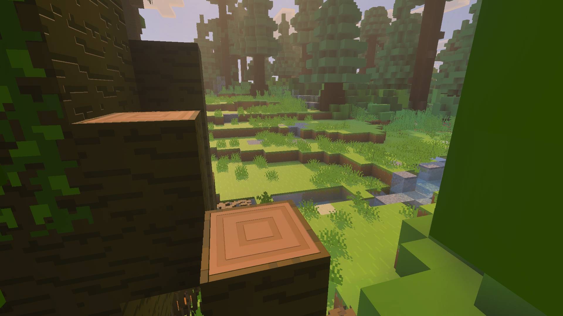 bbpbr5.jpg