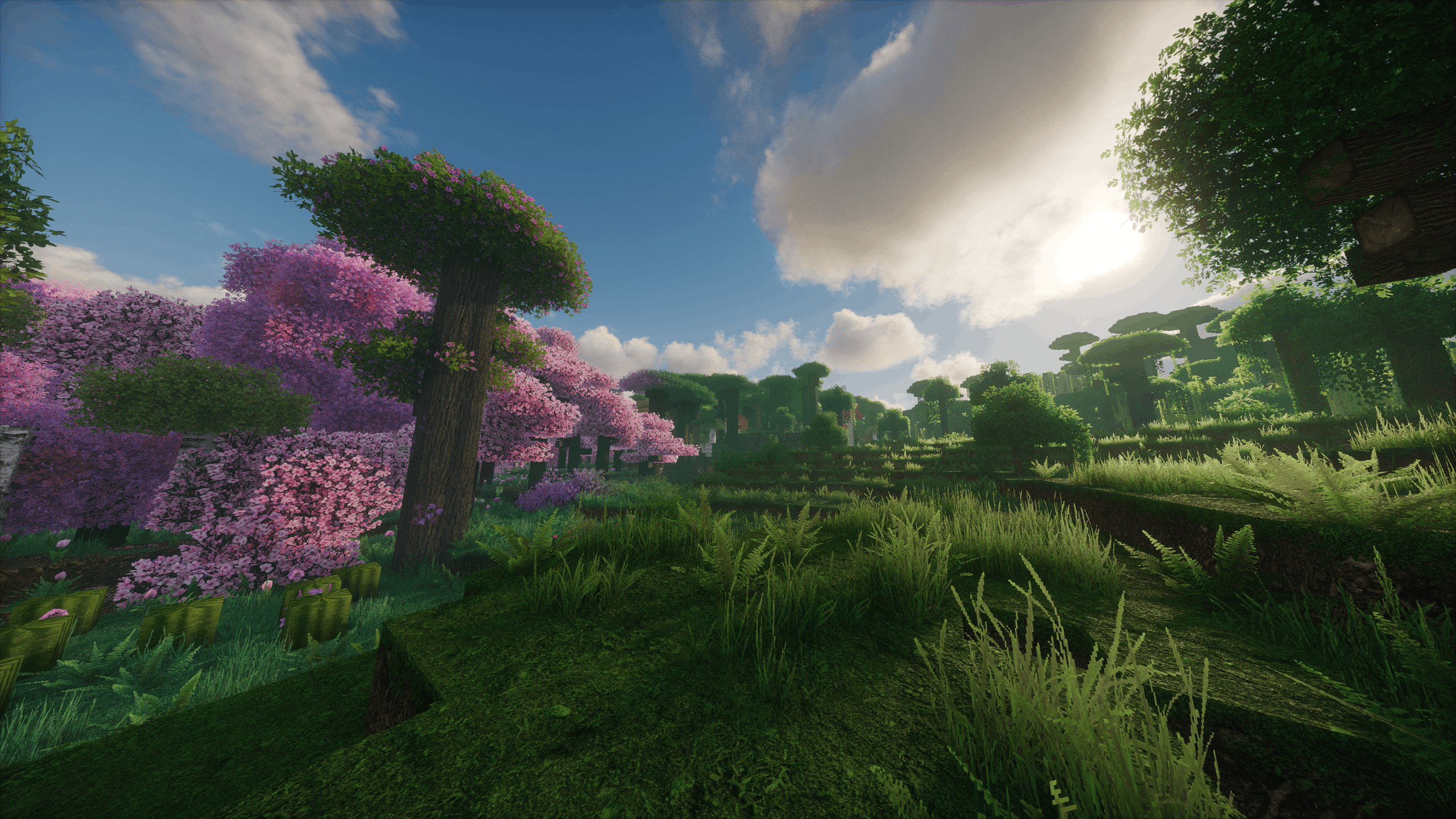 World Generation Showcase 1
