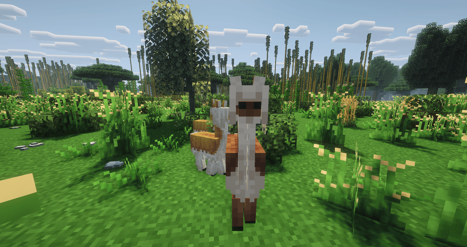 Thumbnail 2026-07-04_18.26.50.png