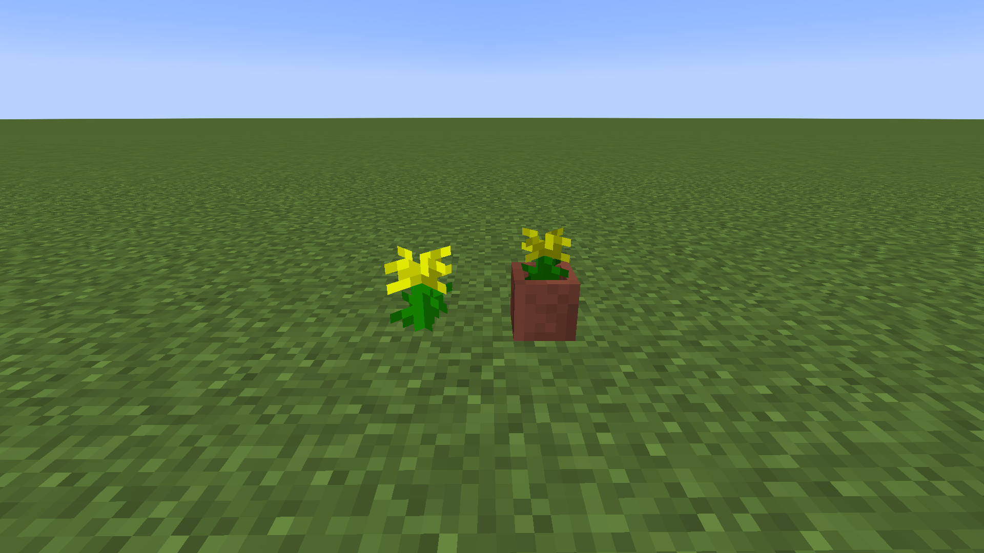 Lost Dandelion and Potted Lost Dandelion
