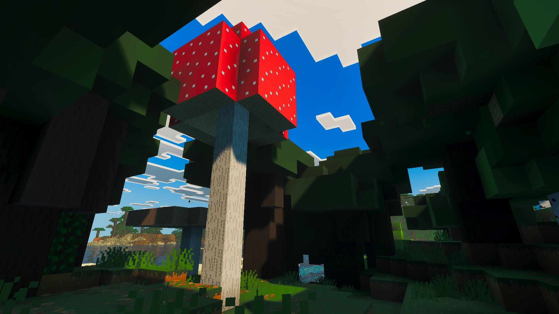 BBPBR9.jpg