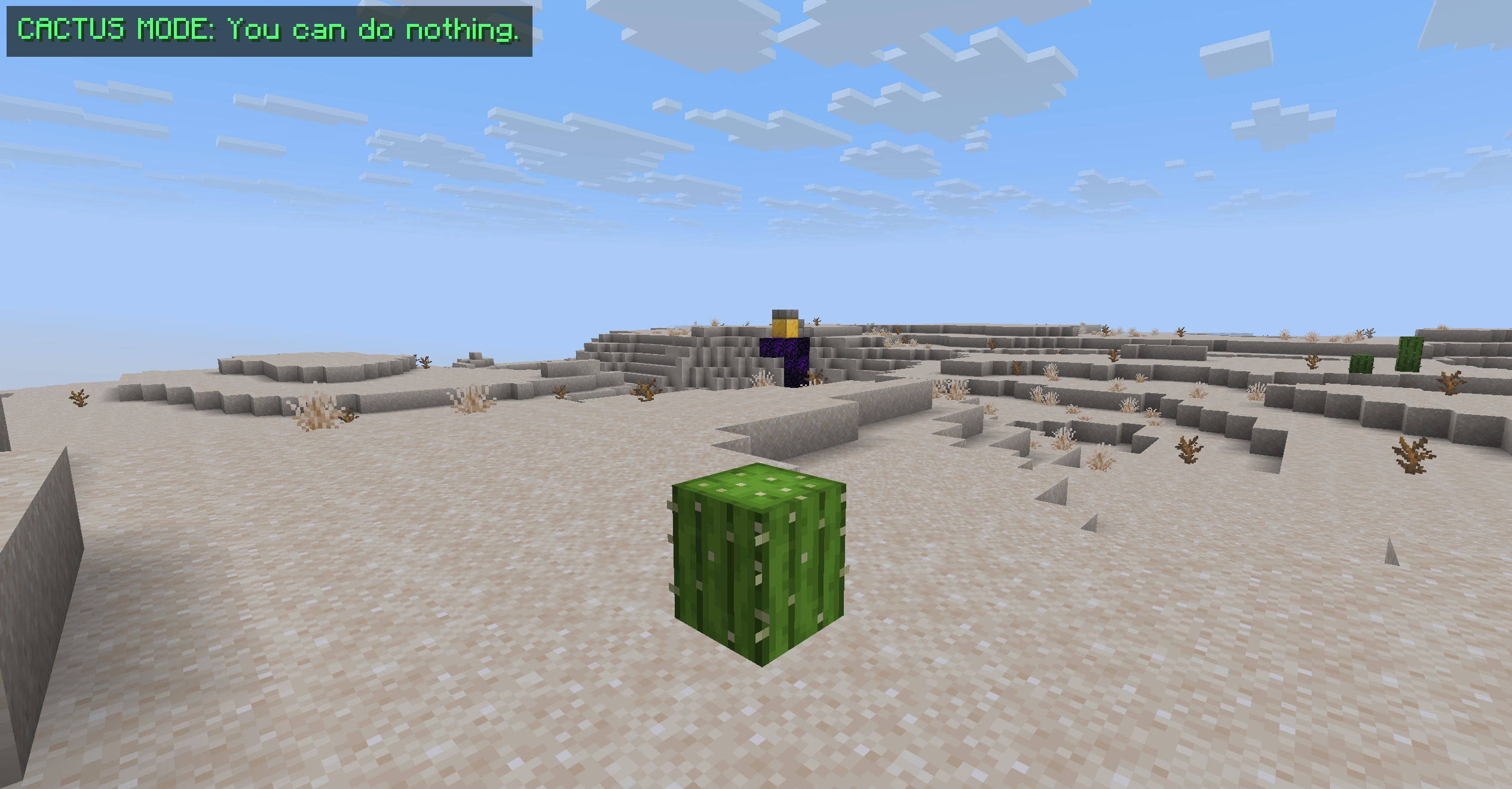 Sand Cactus