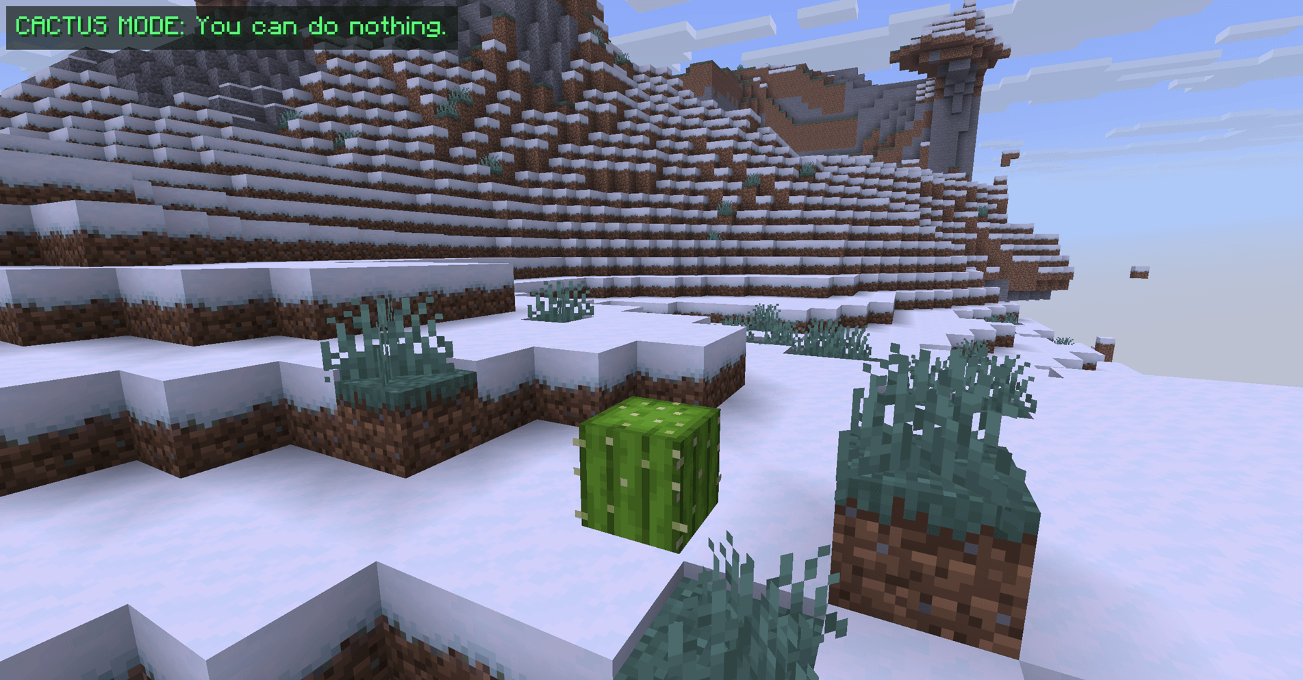 Super Cactus