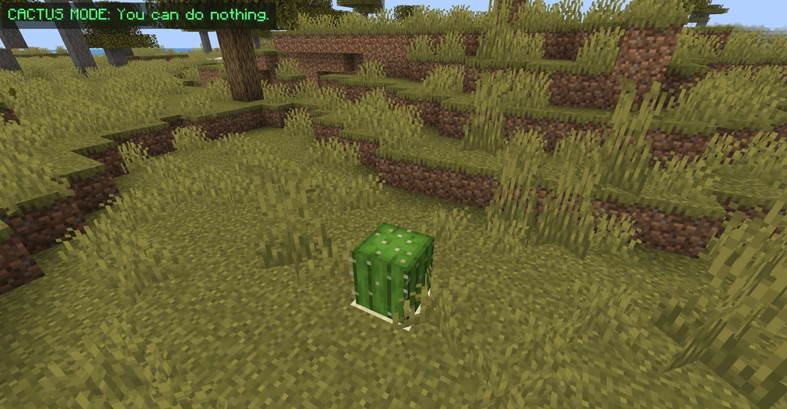 Normal Cactus