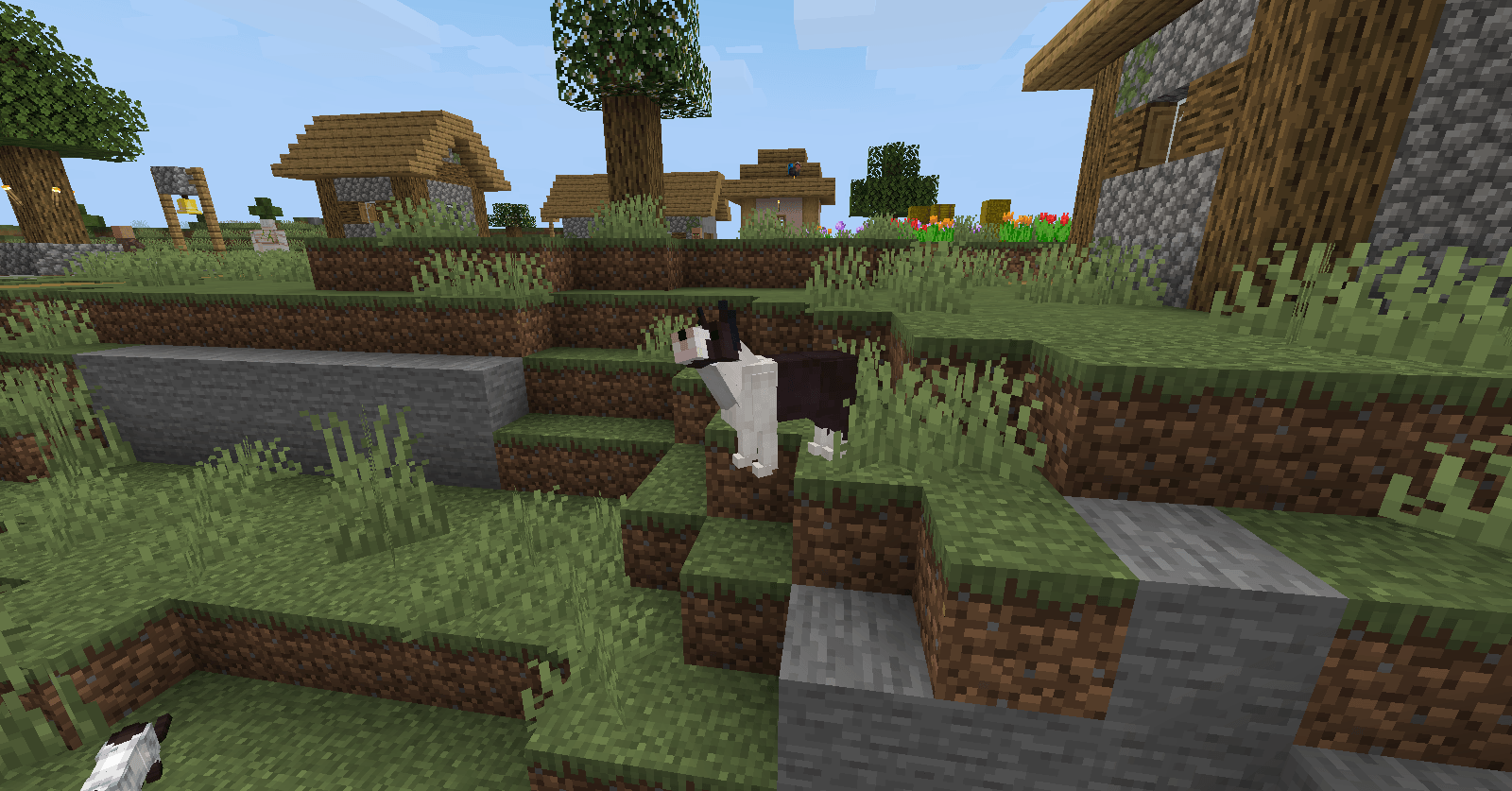 Thumbnail 2026-07-07_23.13.23.png