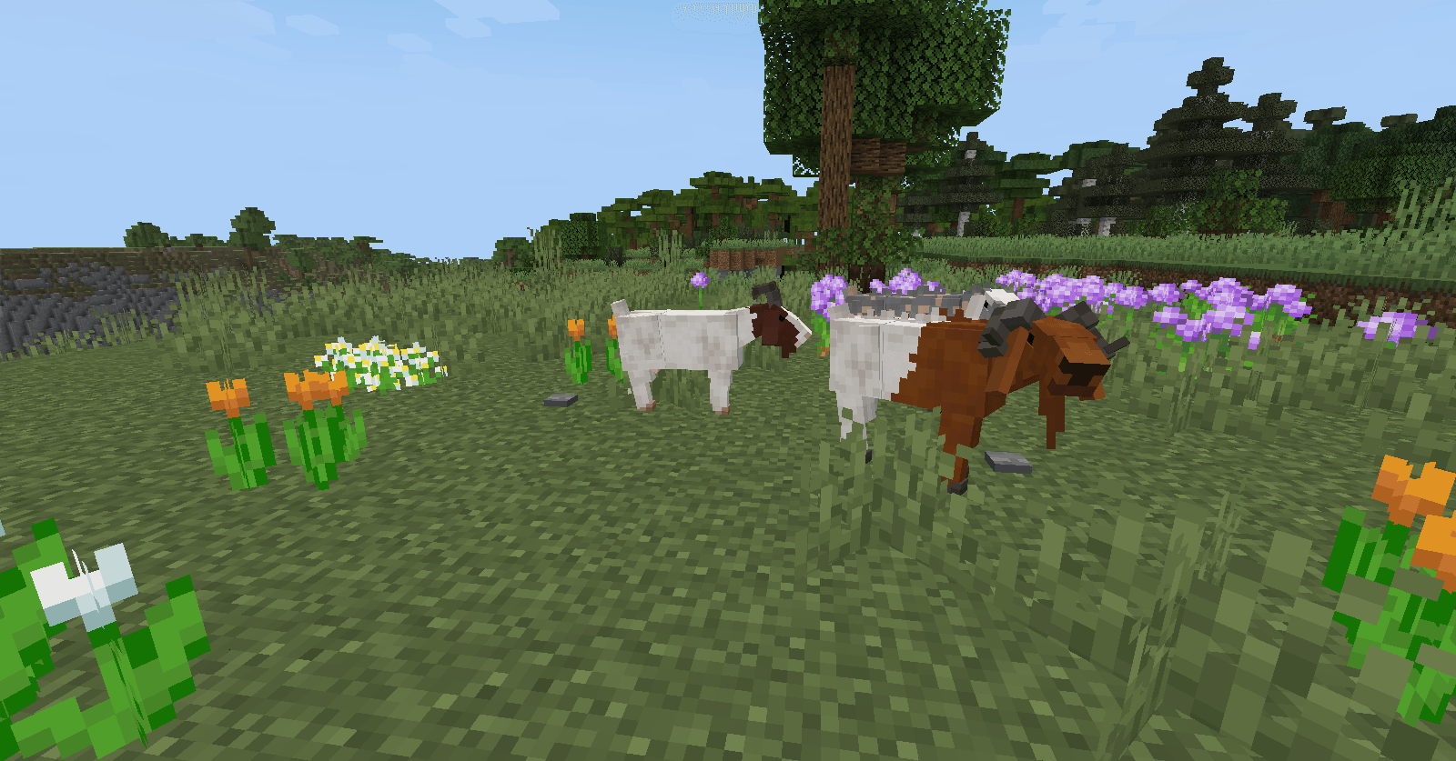Thumbnail 2026-07-07_23.24.16.png