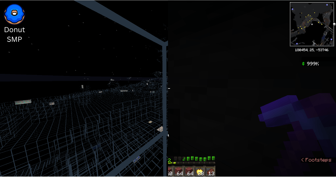 DonutSMP Test (Side by side, Xray-No Xray)
