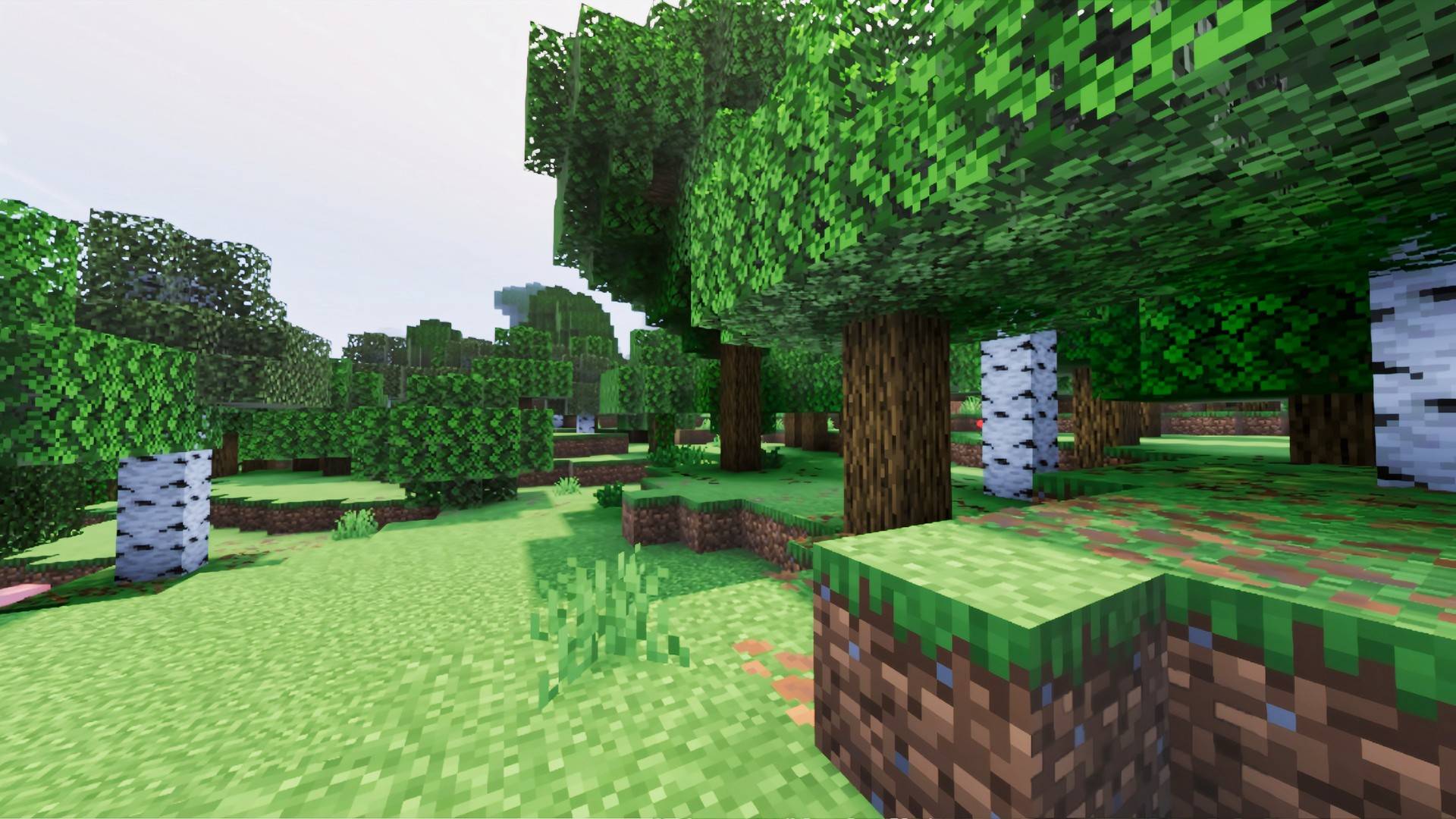 Overworld Forest