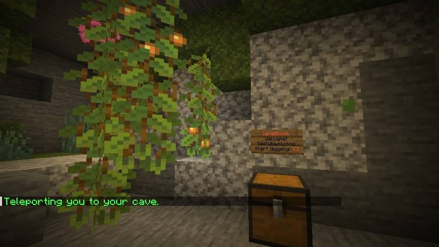 Choose from 3 starter caves and make your own!